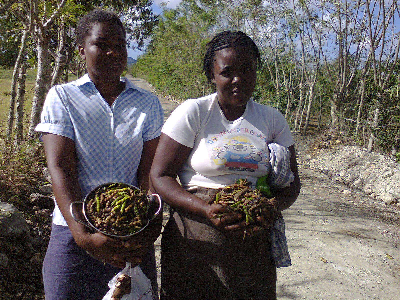 Social Services of the Dominican Churches (SSID) Global Ministries