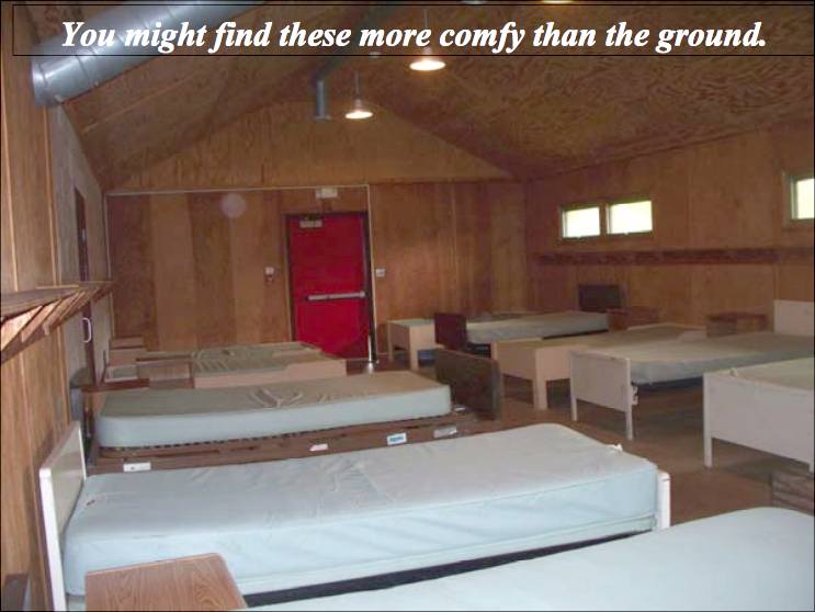 Cabin_Beds.png