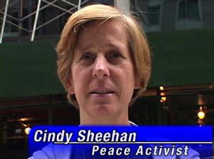 Cindy Sheehan Supports Malachy McCourt