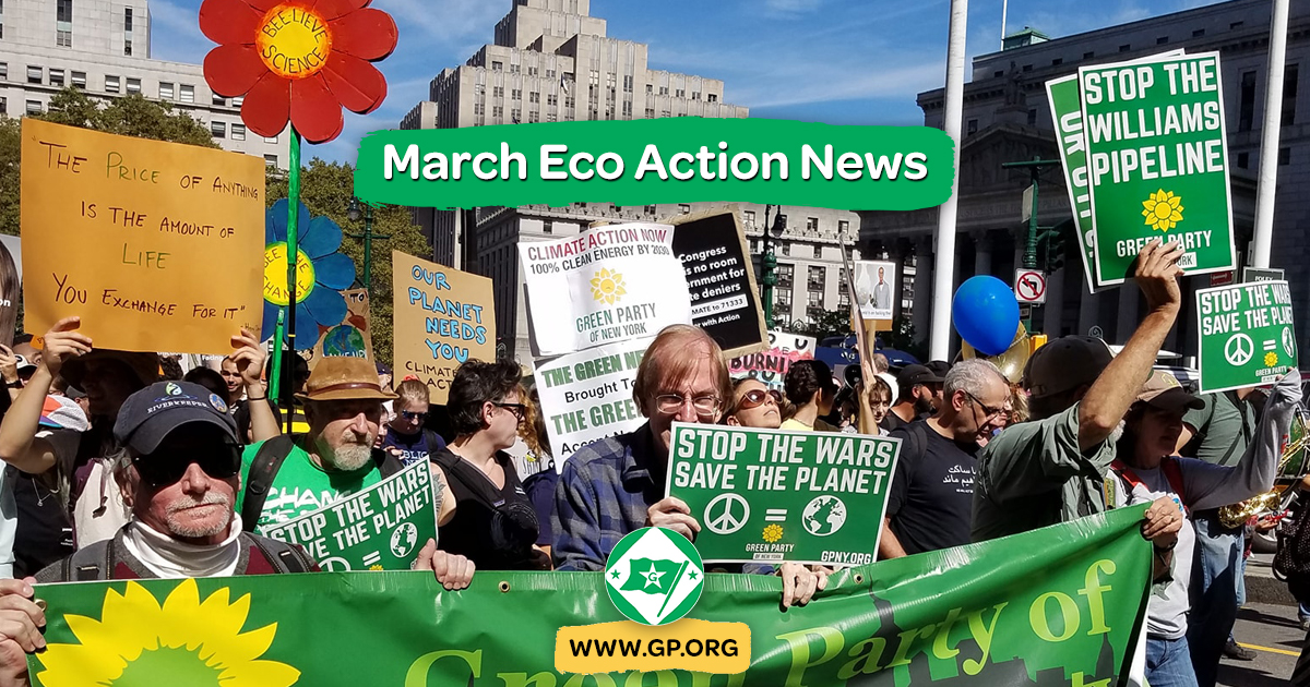 Green update from the EcoAction Committee - Vimarsana News