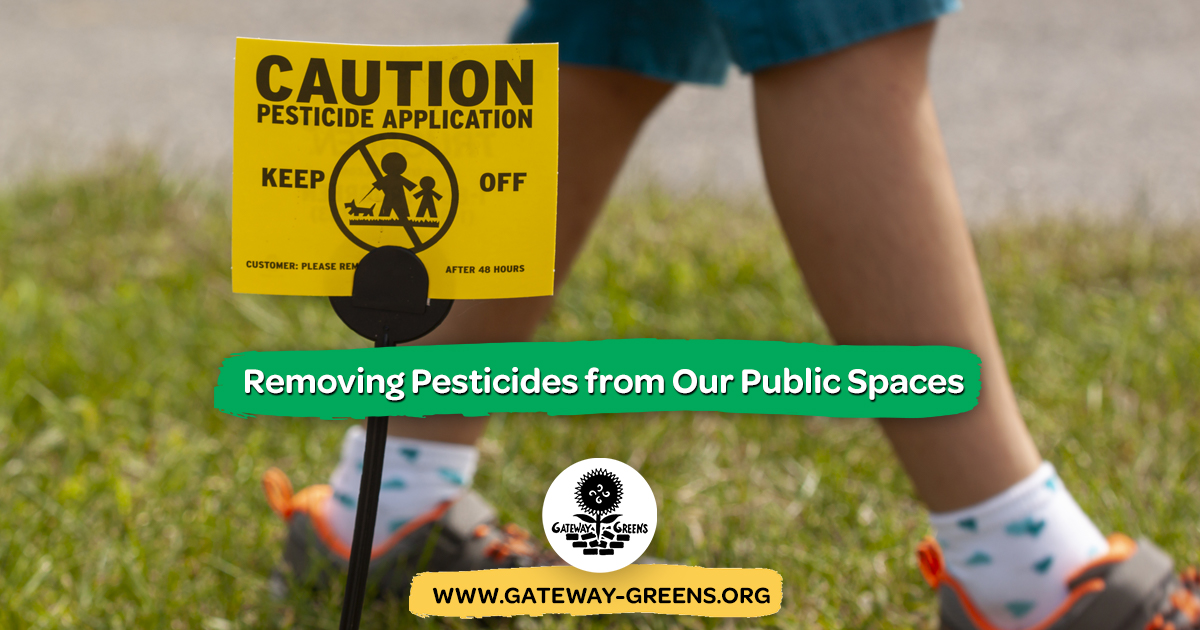 Removing Pesticides from Our Public Spaces - Vimarsana News