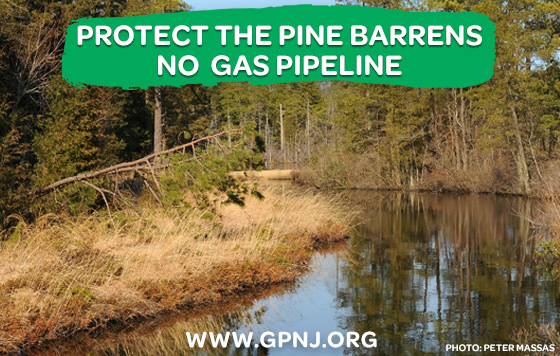 Protect-the-Pine-Barrens.jpg