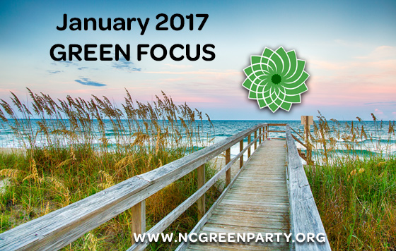 Green-Focus-2017-01.jpg