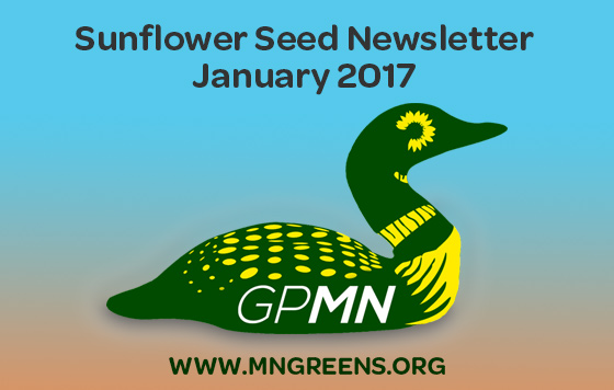 Sunflower-Seed-2017-01.jpg