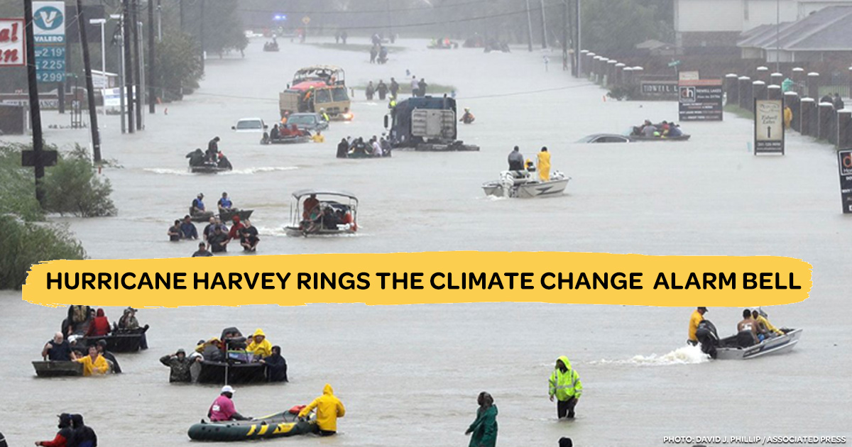 Hurrican-Harvey.jpg