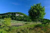 Development and Land Use Research Initiatives