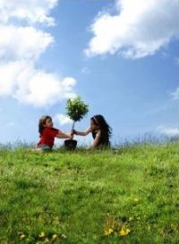 clean air partnership