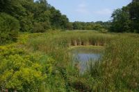 Cootes to Escarpment Conservation and Land Management Strategy