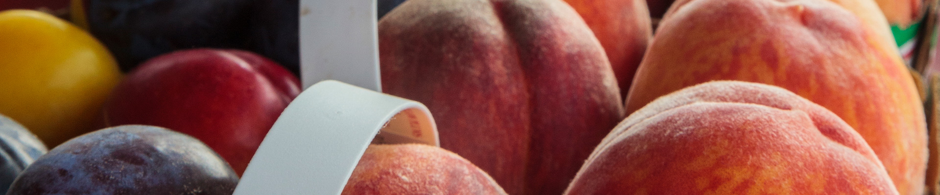 Photo-Peaches-2014-08-07-VQ-Grand-Tour-Niagara-037.jpg