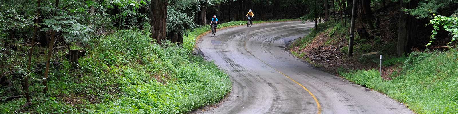 Photo-S-bend-Cyclists-2015-08-20-Great-Waterfront-Trail-Adventure-2015-Greenbelt-Route-Special-Edition_c_Simon-Wilson-321.jpg