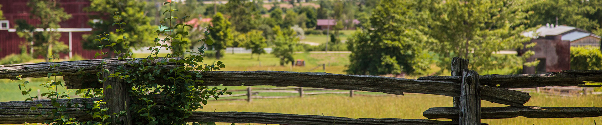Photo-Farm-Fence-View-2014-06-26-Country-Heritage-Park-056.jpg