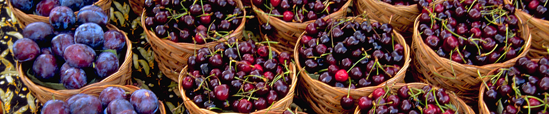 Photo-Plums-Cherries-Ontario.jpg