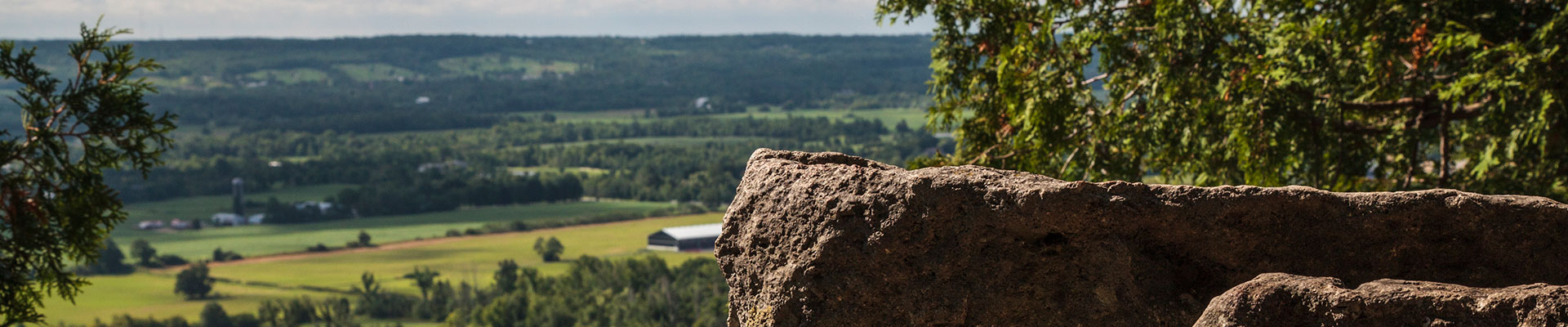 Photo-View-Cliff-2014-08-13-Rattlesnake-Point-Conservation-Area-009.jpg