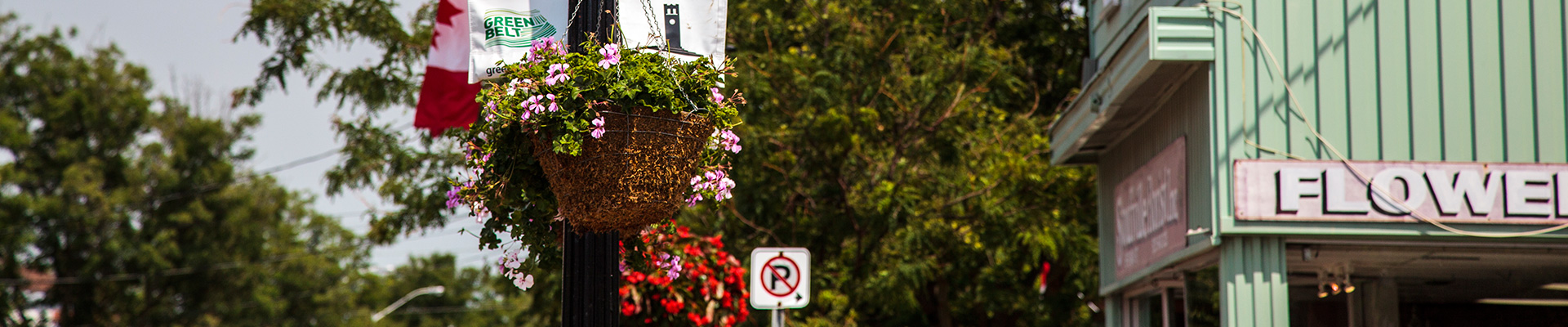 Photo-MainSt-Flowers-2012-07-06-Whitchurch-Stoufville-014.jpg