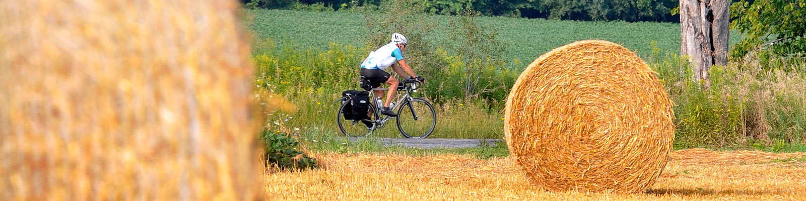 Photo-Cyclist_Hay_Bale-2015-08-18_Great_Waterfront_Trail_Adventure_2015_Greenbelt_Route_Special_Edition_c_Simon_Wilson_230.jpg