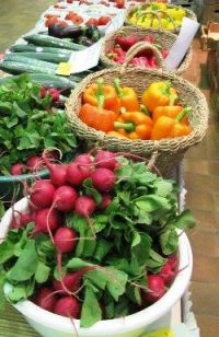Internship Program for Eat Local Map Project