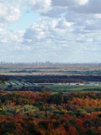Strengthening_the_Greenbelt_Project.jpg