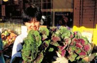 Cultural Food Guides for York Region