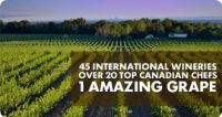 International Cool Climate Chardonnay Event