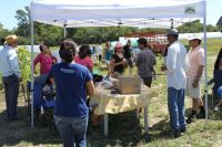 Implementation of the Food and Farming Strategy for the Golden Horseshoe