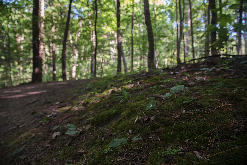 2014-07-24_Kortright_Centre_for_Conservation_036-XL.jpg