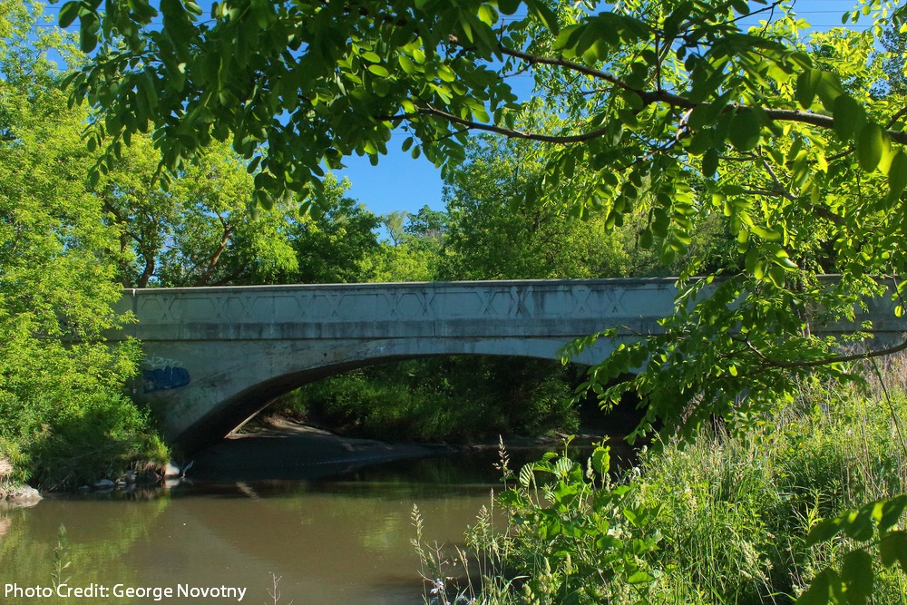 2016_Photo_Contest_c__George_Novotny_-_North_York_-_East_Don_River_-_147014828.jpg
