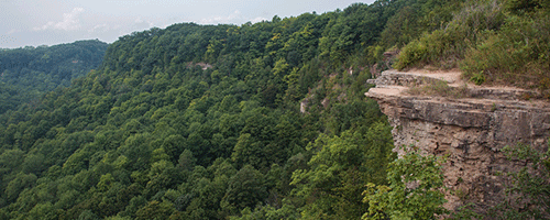 Webster-Falls_(1).png