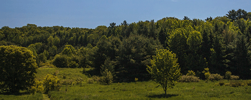 oak-ridges-moraine.png