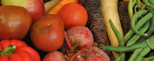 Harvest-Dinner.png