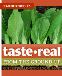 greenbelt_3story_200x250r.png greenbelt_3story_200x250r.png