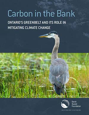 Carbon-Bank-ReportCover