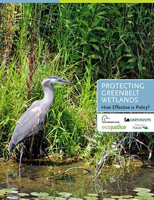Greenbelt-Wetlands-ReportCover