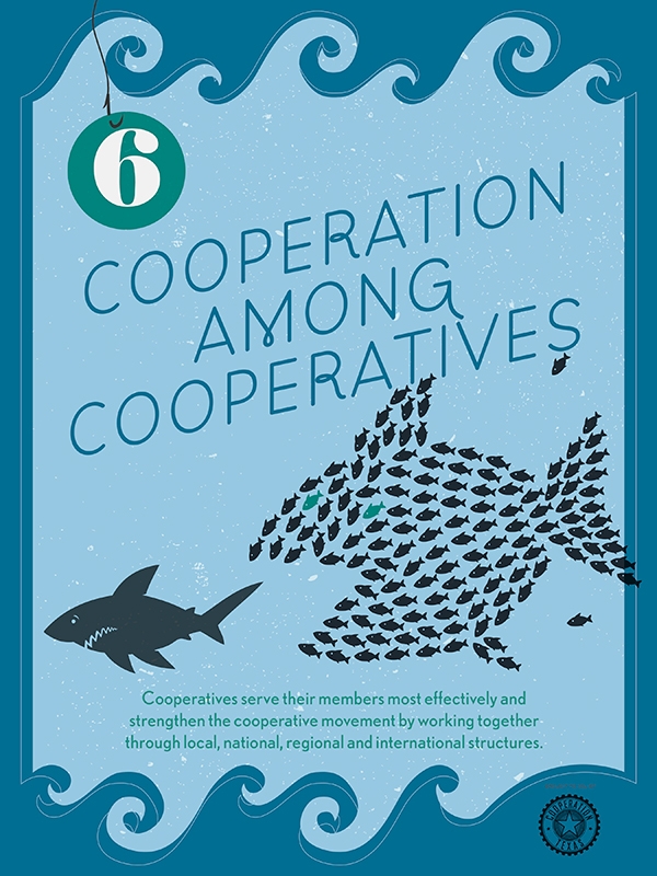 The Seven Principles of Cooperation Green Worker Cooperatives