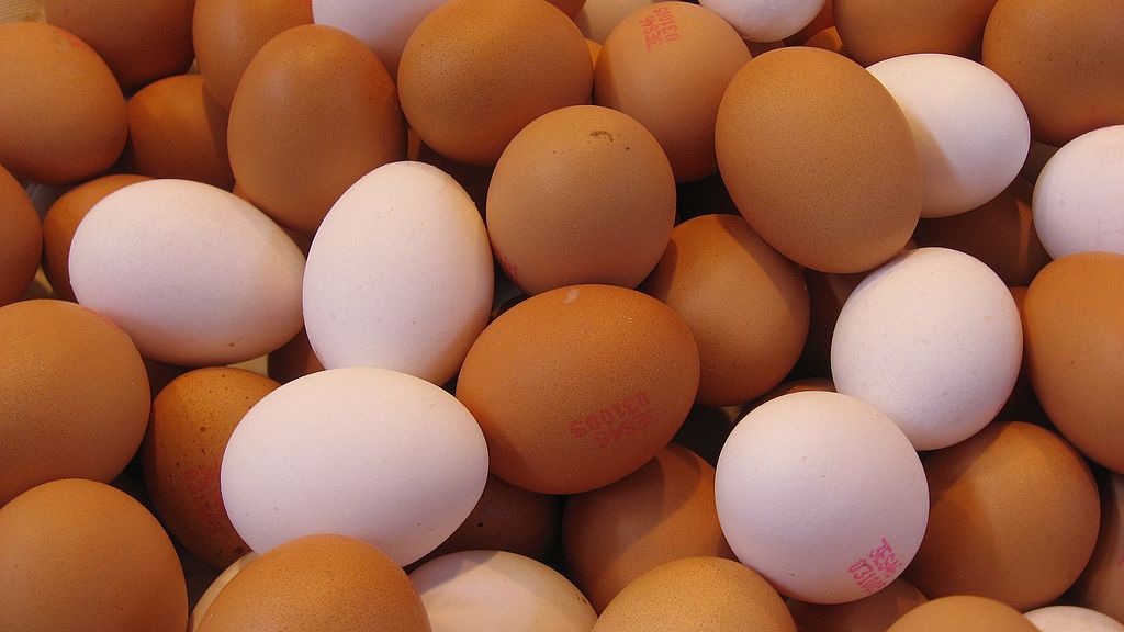 MhvvEgg_texture_169clue.jpg