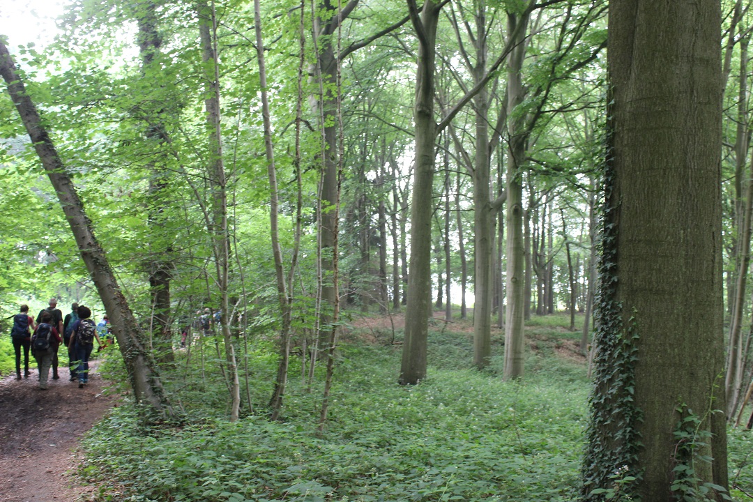 oost-vlaanderen-neemt-de-vlucht-vooruit-voor-bijkomende-natuur