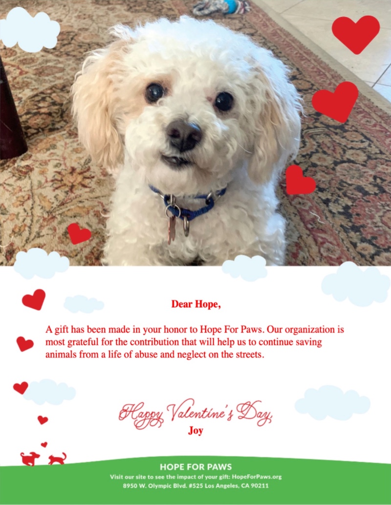 Valentine's Card