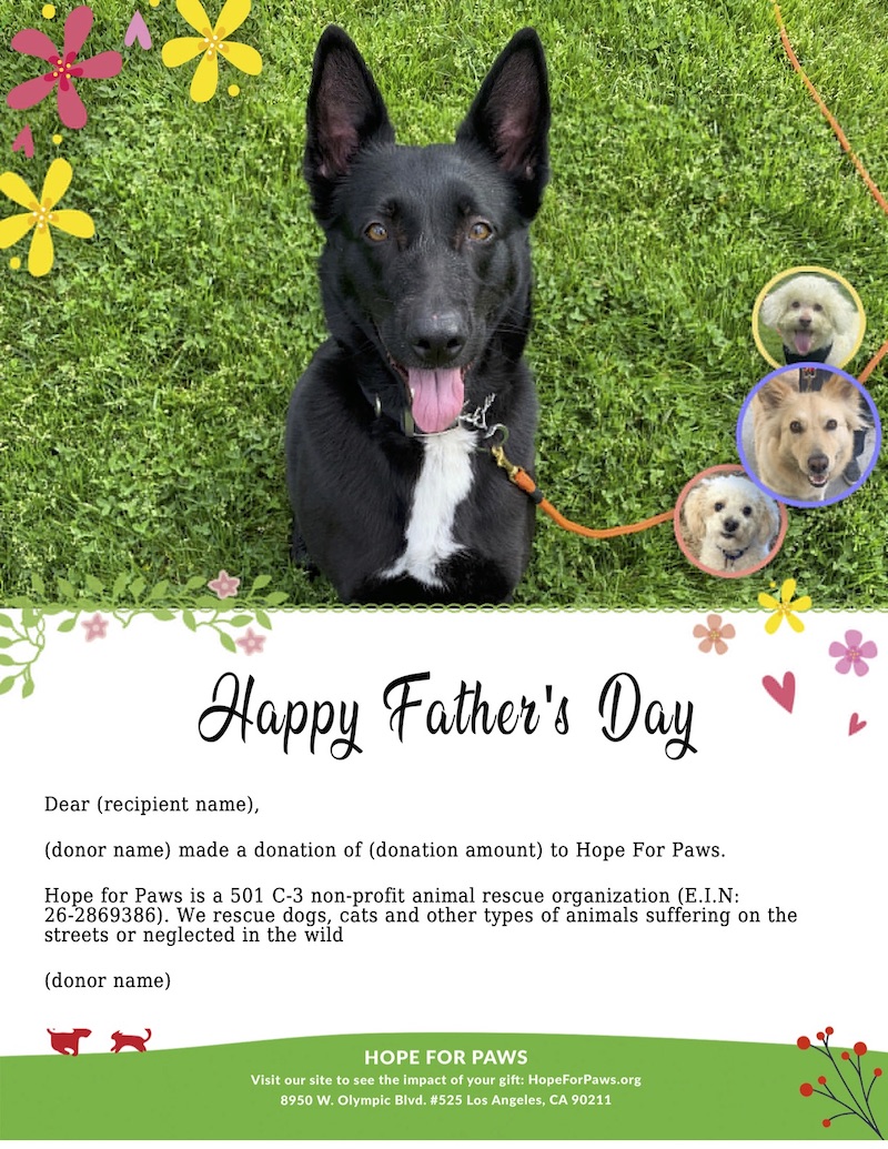Hope For Paws E-Card
