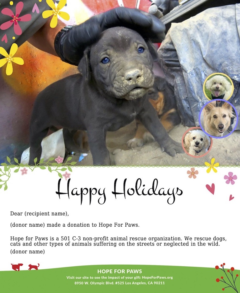 Hope For Paws E-Card