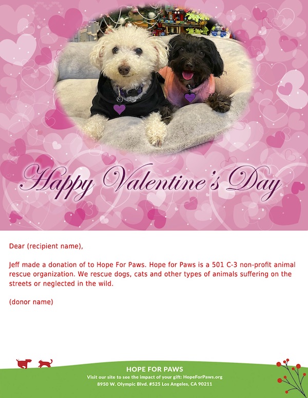 Hope For Paws E-Card