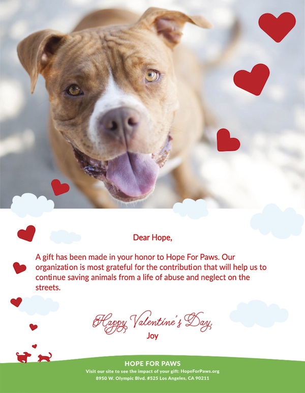 Dedicate and Give the Gift of Animal Rescue