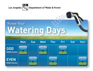 Know Your Watering Days Image (En)