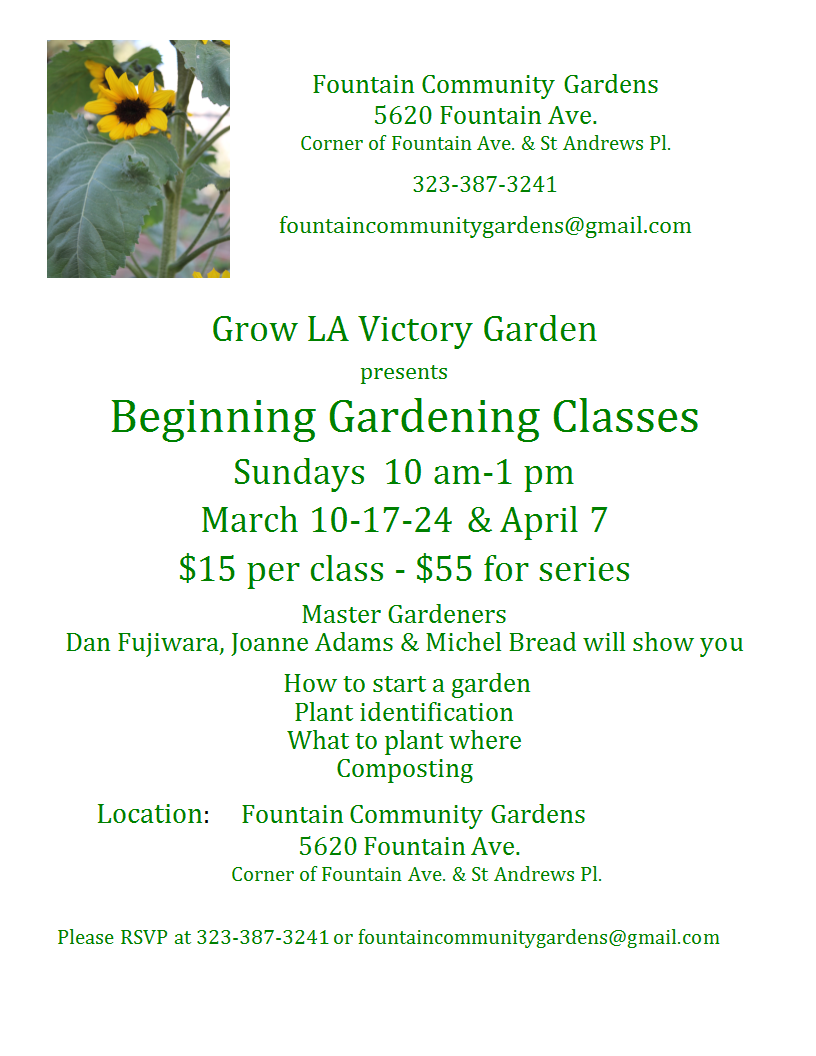 community gardens