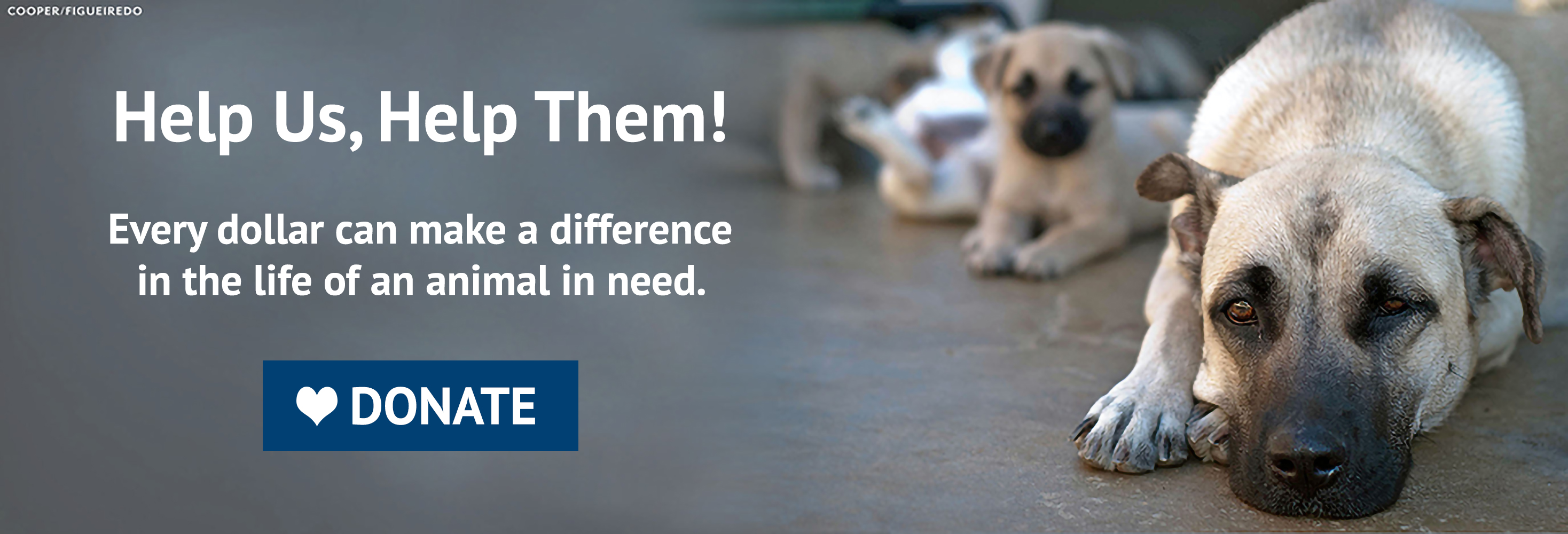Home Humane Society Of Ventura County<script async src=