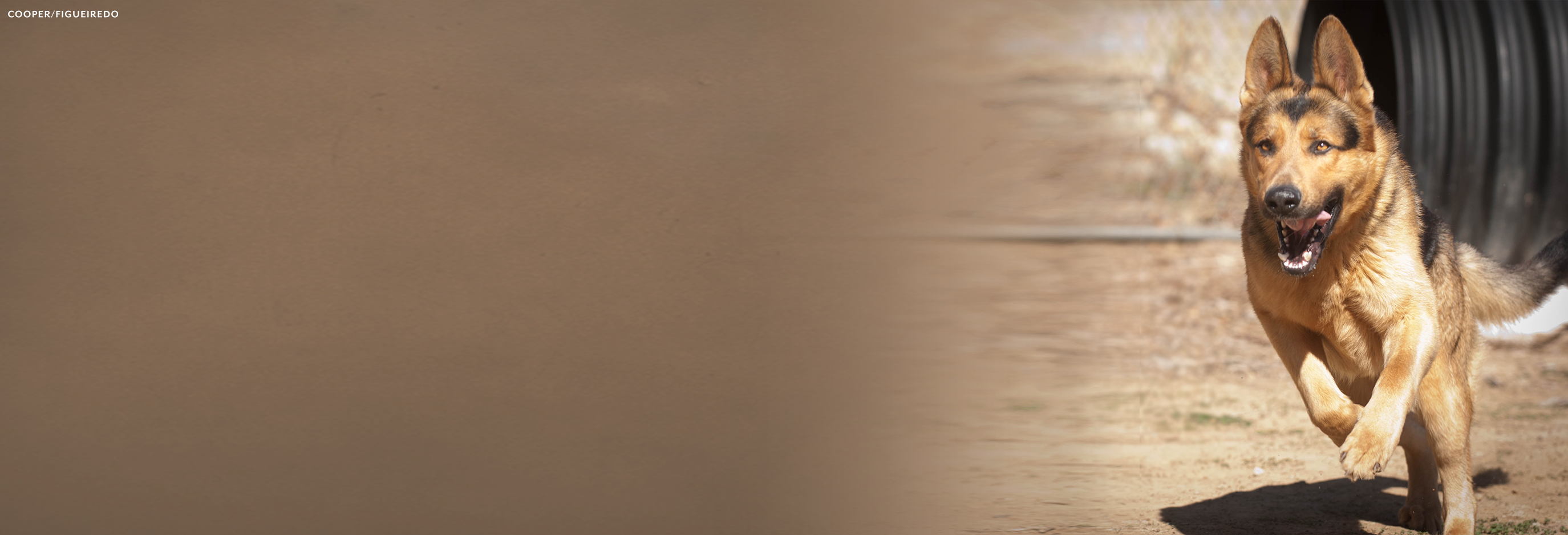 Home Humane Society of Ventura County