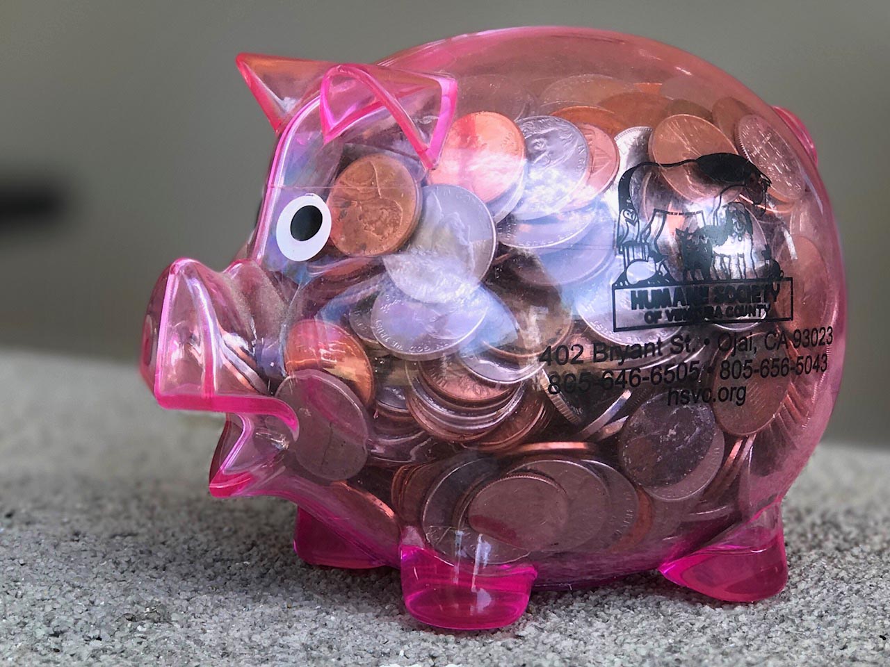 Free Piggy Banks! Humane Society of Ventura County
