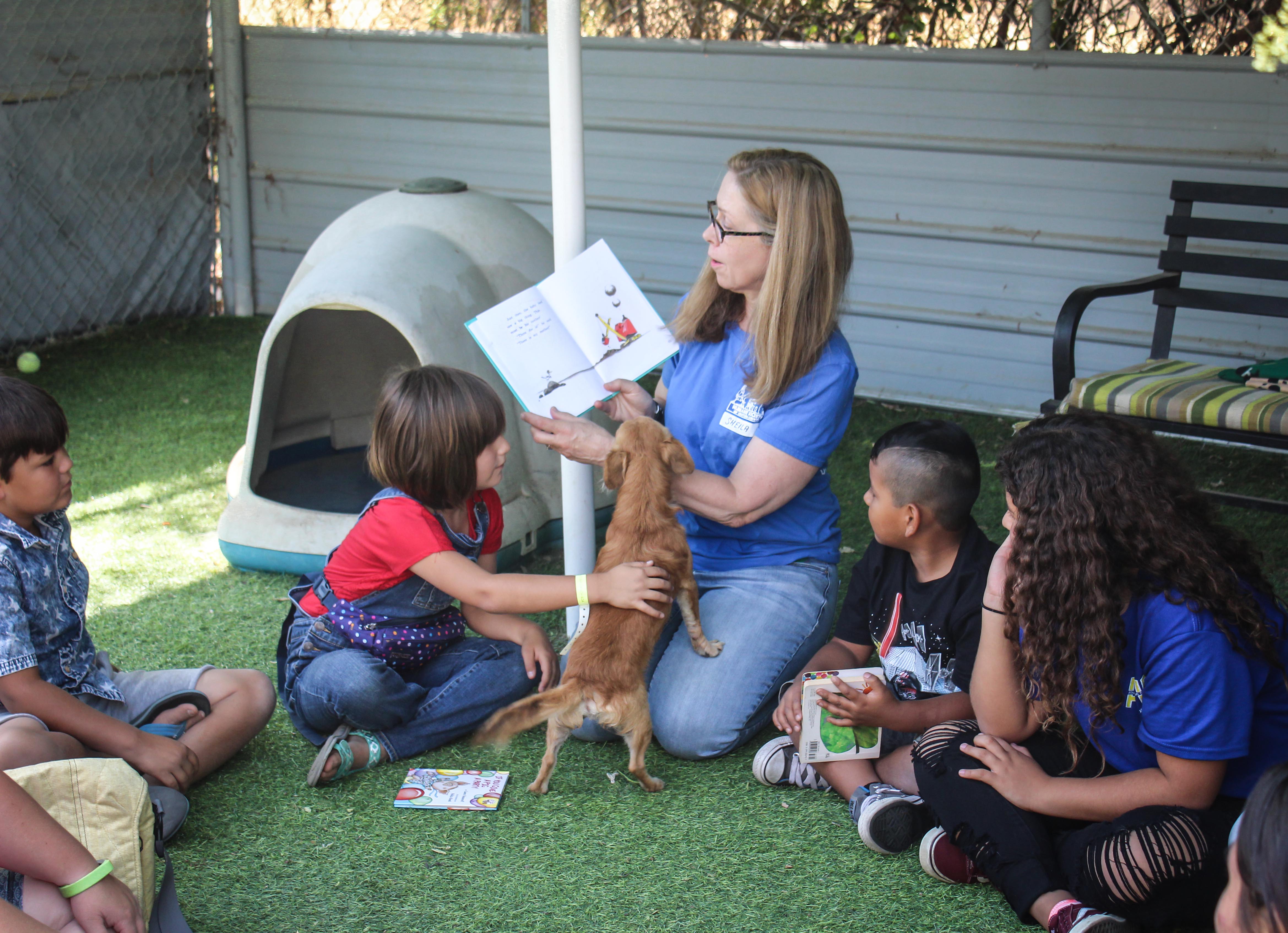 Reading To Shelter Dogs Humane Society of Ventura County
