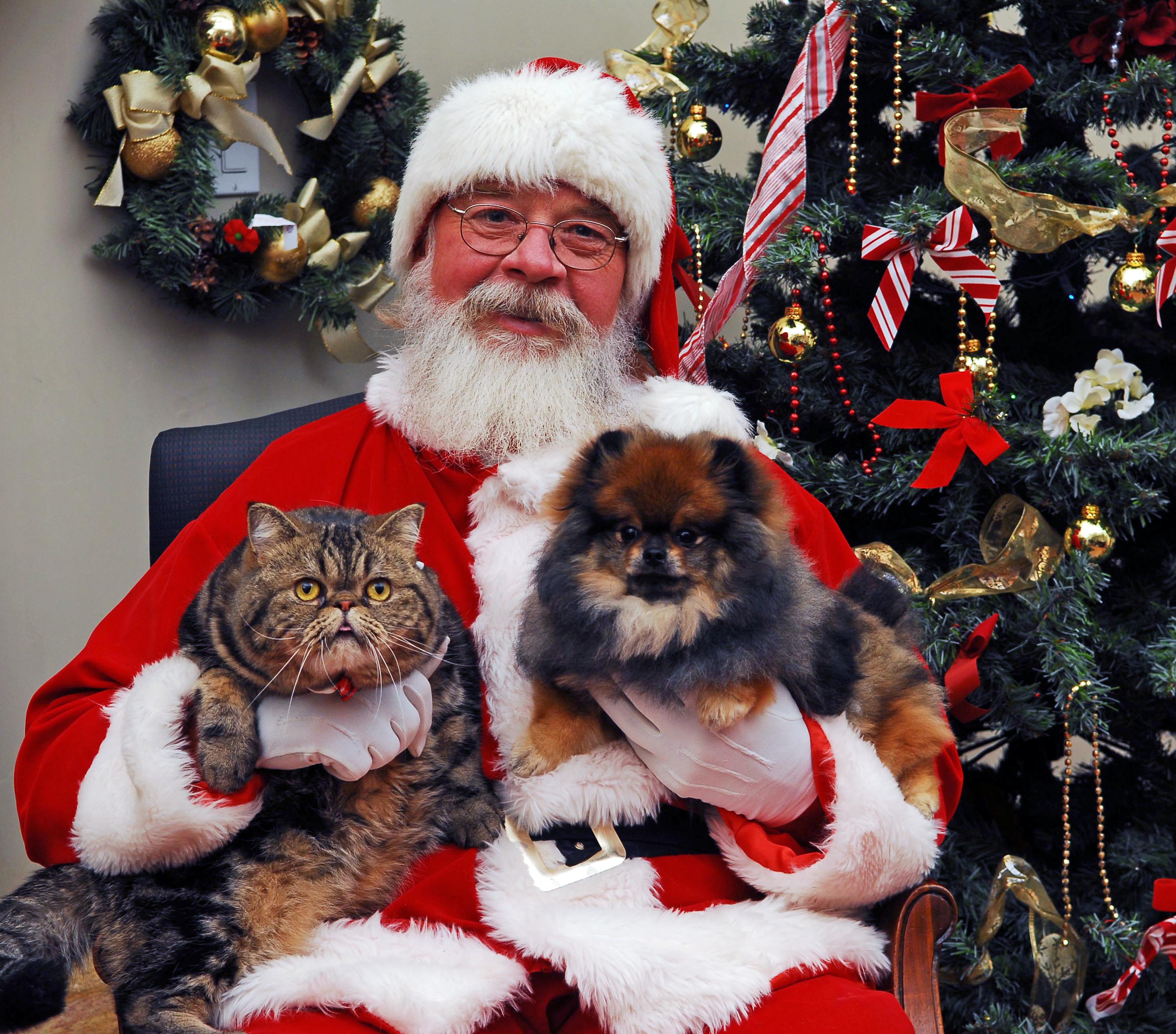 santapawsdogcat.jpg