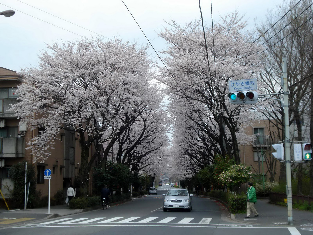 Mitaka - Intelligent Community Forum
