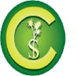 Cabbage Tree Solutions
