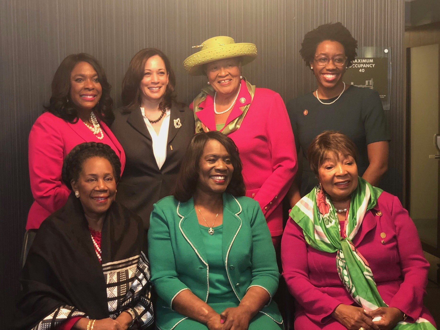 CNN: Kamala Harris&rsquo; secret weapon: Her sorority sisters - IVYPAC